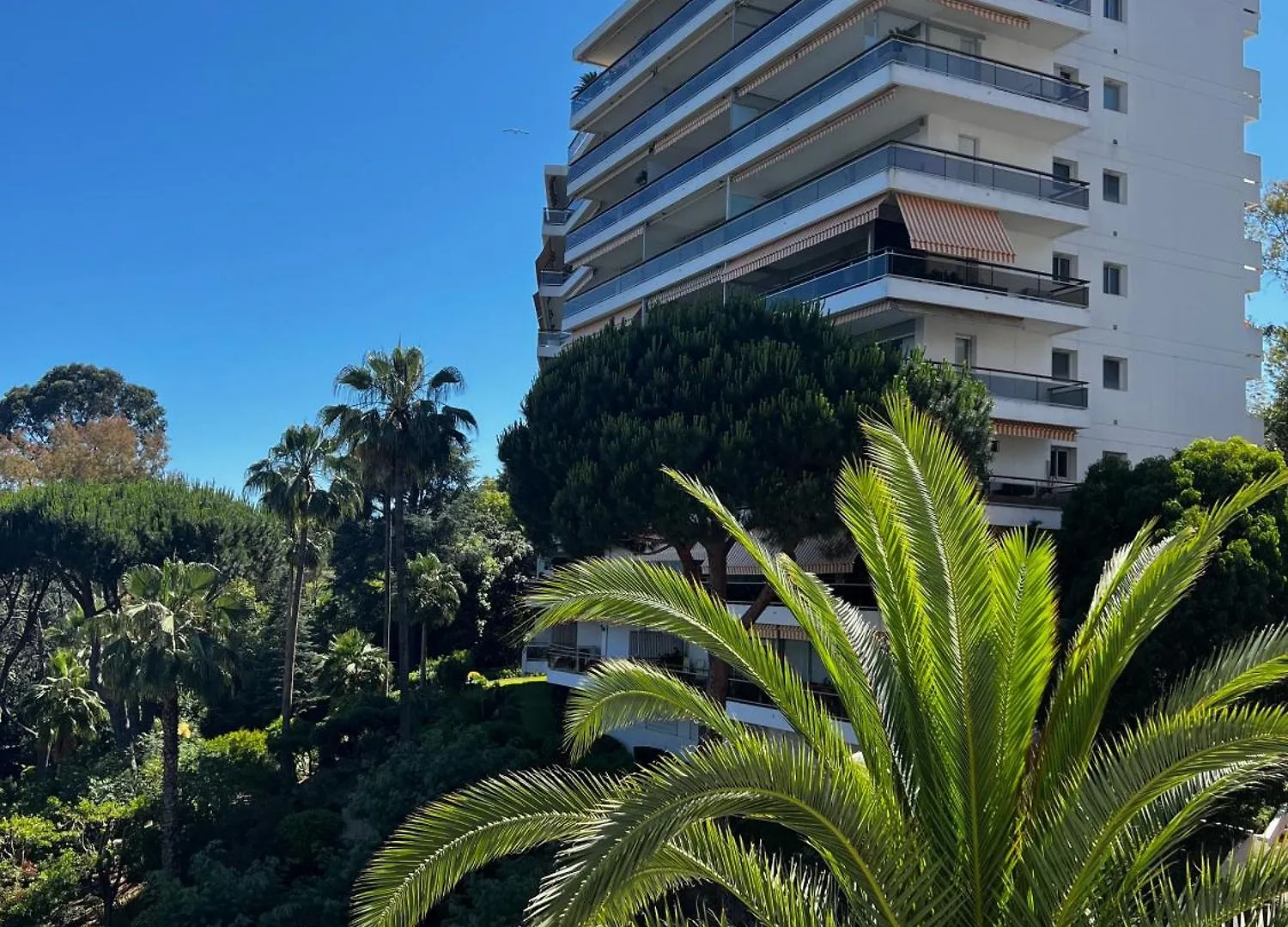 Charmant Studio Avec Piscine A La Mirandole Vallauris